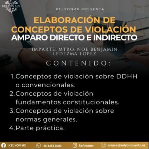 Conceptos de Violación