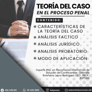 Teoría del Caso