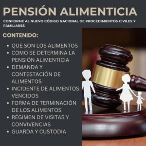 Pensión Alimenticia