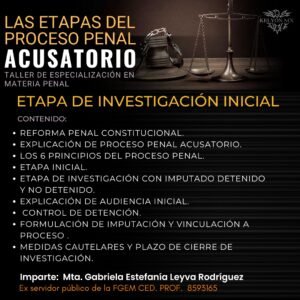 Etapa de Investigación Inicial
