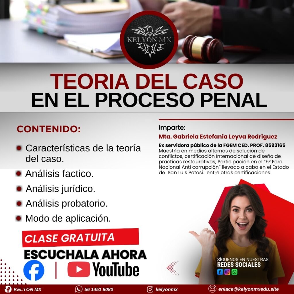 Teoría del caso en el proceso penal.